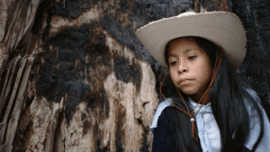 XXII Muestra Internacional de Mujeres en el Cine y la Televisión